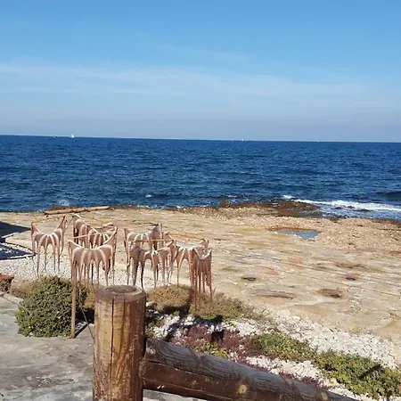 Playa Grande-serviden *